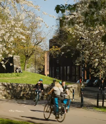 Blossoming Bristol
